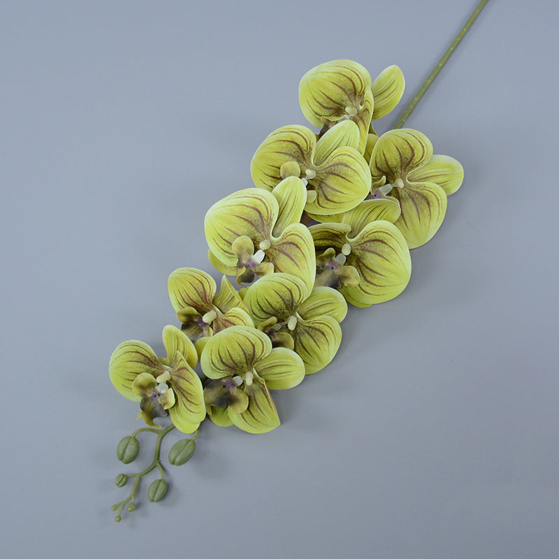 Bulk 16 Colors Real Touch Phalaenopsis Orchid Stems Extra Long Floral Wholesale