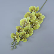 3 Pcs 37 Inch Extra Long Phalaenopsis Orchid Stems Artificial Silk Flowers