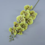 Bulk 16 Colors Real Touch Phalaenopsis Orchid Stems Extra Long Floral Wholesale