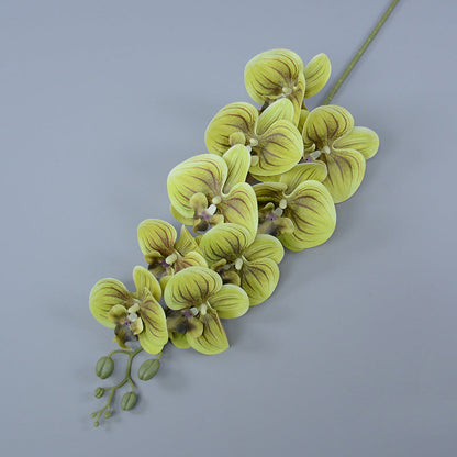 Bulk 16 Colors Real Touch Phalaenopsis Orchid Stems Extra Long Floral Wholesale