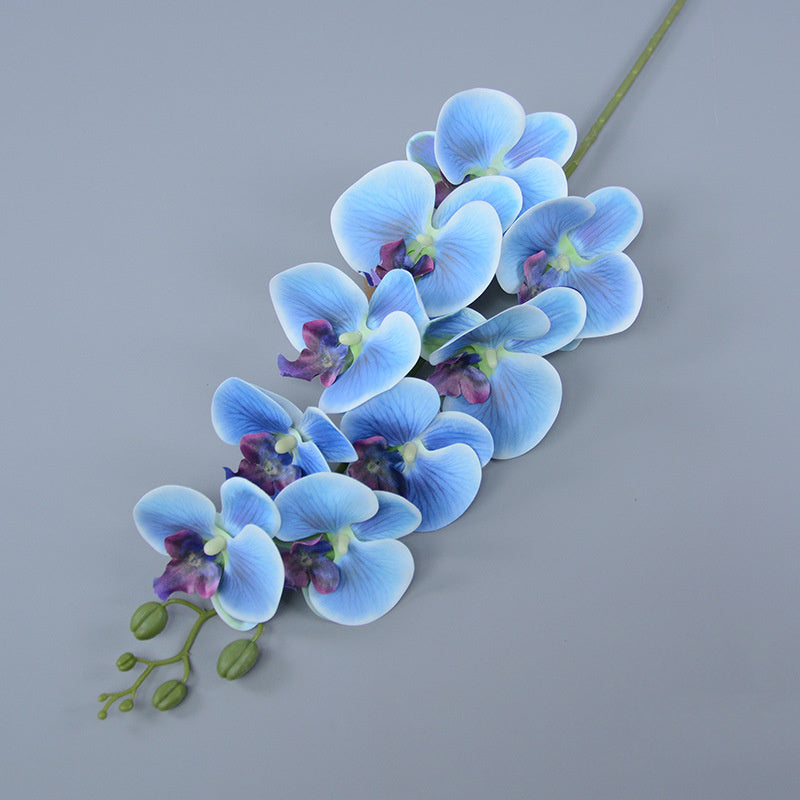 Bulk 16 Colors Real Touch Phalaenopsis Orchid Stems Extra Long Floral Wholesale