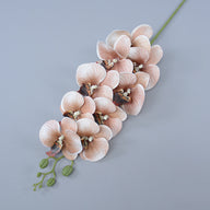 Bulk 16 Colors Real Touch Phalaenopsis Orchid Stems Extra Long Floral Wholesale