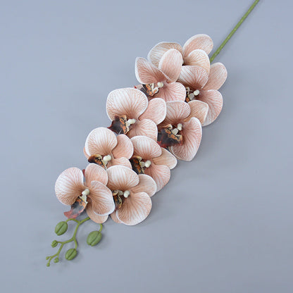 Bulk 16 Colors Real Touch Phalaenopsis Orchid Stems Extra Long Floral Wholesale