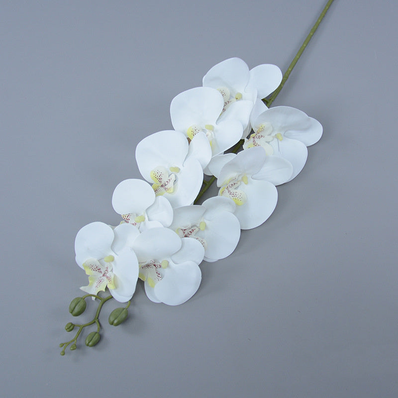 Bulk 16 Colors Real Touch Phalaenopsis Orchid Stems Extra Long Floral Wholesale