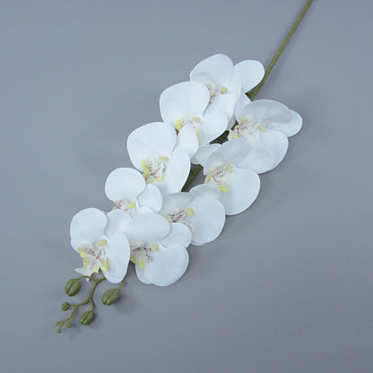 Bulk 16 Colors Real Touch Phalaenopsis Orchid Stems Extra Long Floral Wholesale