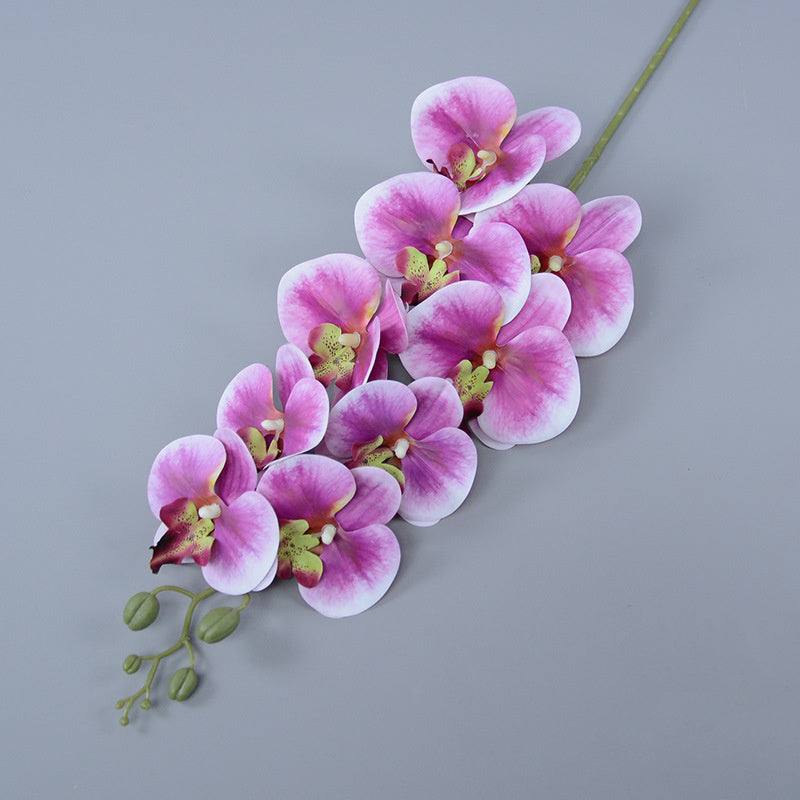 Bulk 16 Colors Real Touch Phalaenopsis Orchid Stems Extra Long Floral Wholesale