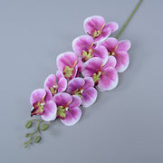 3 Pcs 37 Inch Extra Long Phalaenopsis Orchid Stems Artificial Silk Flowers
