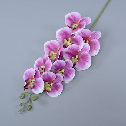 Bulk 16 Colors Real Touch Phalaenopsis Orchid Stems Extra Long Floral Wholesale