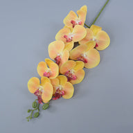 Bulk 16 Colors Real Touch Phalaenopsis Orchid Stems Extra Long Floral Wholesale