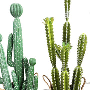 10 Pcs Artificial Cactus Stems Bulk Set Faux Succulent Plants for Landscaping