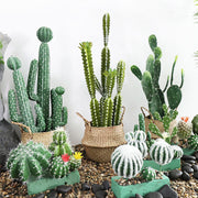 10 Pcs Artificial Cactus Stems Bulk Set Faux Succulent Plants for Landscaping
