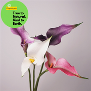 Real Touch Double Calla Lily Stem, 12 Inch Artificial Silk Flower, 1 Pc