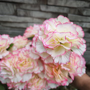 Christianity Cemetery Artificial Carnation Flowers in Vase Bulk Wholesale 12 Inch