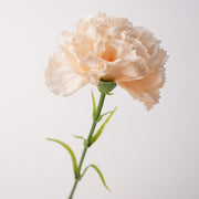 19.6 Inch Real Touch Artificial Carnations - Lifelike Silk Flowers for Wedding and Home Decor