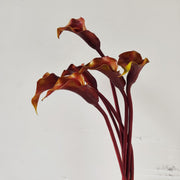 25.5 Inch Artificial Calla Lilies Long Stems Real Touch Bulk 10 Pcs Silk Flowers