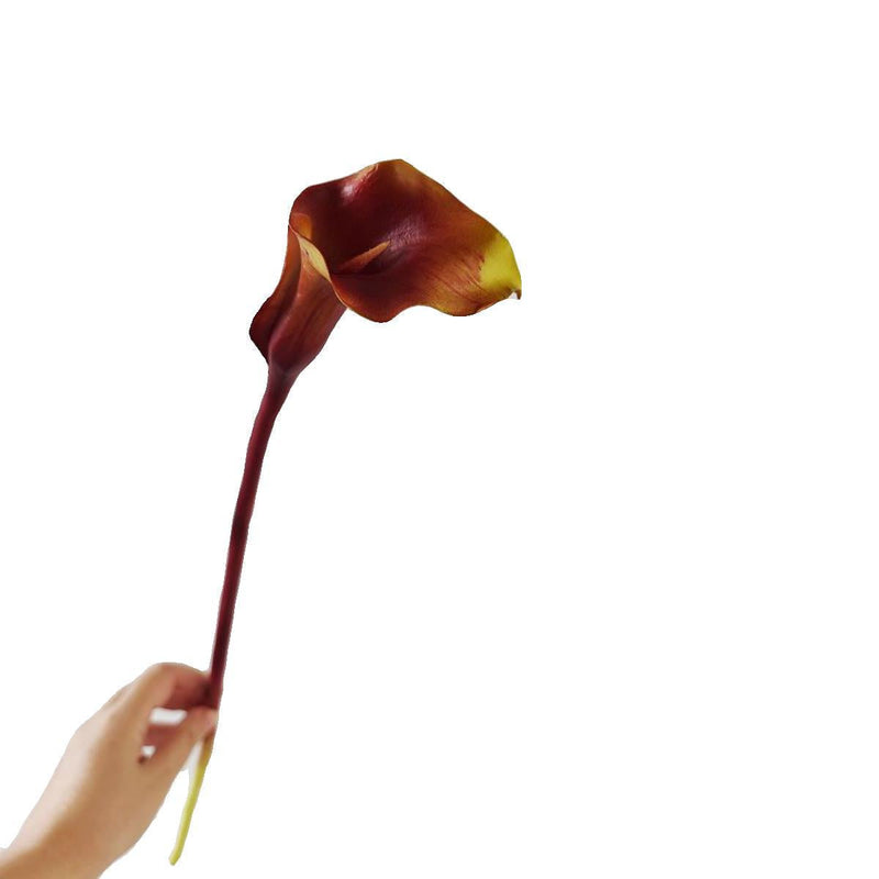 25.5 Inch Artificial Calla Lilies Long Stems Real Touch Bulk 10 Pcs Silk Flowers