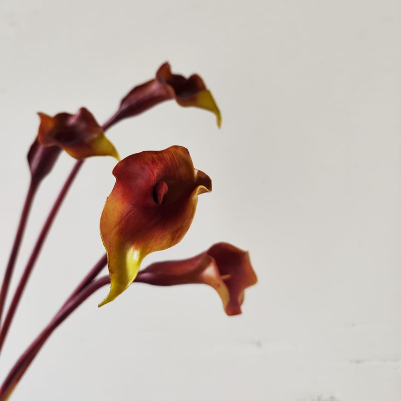 25.5 Inch Artificial Calla Lilies Long Stems Real Touch Bulk 10 Pcs Silk Flowers