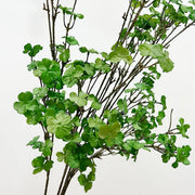 35 Inch Artificial Shamrock Clover Stems, 6 Pcs Real Touch St. Patrick’s Day Branches