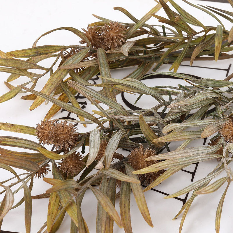 21.6 Inch Artificial Acacia Fruit Branches, Autumn Colors, 6 Stems for Floral Arrangements and Seasonal Decor
