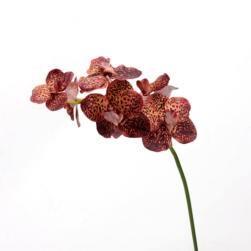 21.6 Inch Artificial Orchid Stems, Real Touch, 6 Pcs Bulk Spray Flowers