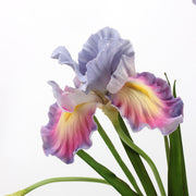 29 Inch Fantasy Iris Artificial Flower Stems, Real Touch, 10 Pcs, Bulk Christian Arrangements