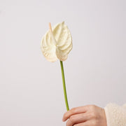 15 Inch Real Touch Anthurium Stem - Lifelike Artificial Flower for Wedding and Home Decor