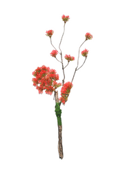 5 Pcs Artificial Curly Pine Branches for Christmas Bonsai Crafts Arrangements