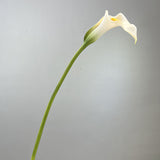 Bulk Real Touch Calla Lilies Long Stem Artificial Florals 25.5" Wholesale