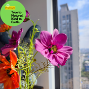 Real Touch Daisy Cosmos Spray Stems, 6 Stems, Artificial Silk Flowers, 12 Inch