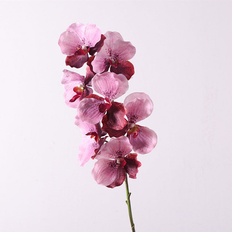 31 Inch Extra Long Vanda Orchid Stems 10 Pcs Real Touch Artificial Flowers Bulk