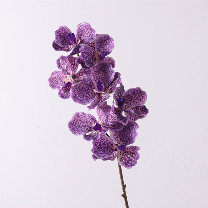 31 Inch Extra Long Vanda Orchid Stems 10 Pcs Real Touch Artificial Flowers Bulk