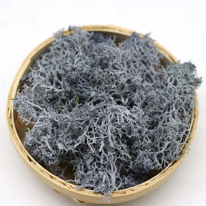 1.7 Ounce Preserved Moss for Crafts Vase Filler Table Centerpieces Fairy Garden Wedding Decor Bulk Quantity