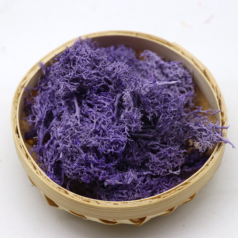 1.7 Ounce Preserved Moss for Crafts Vase Filler Table Centerpieces Fairy Garden Wedding Decor Bulk Quantity