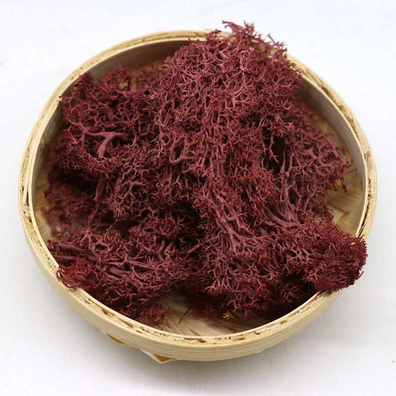 1.7 Ounce Preserved Moss for Crafts Vase Filler Table Centerpieces Fairy Garden Wedding Decor Bulk Quantity