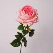 27 Inch Real Touch Silk Roses - 6 Stems Lifelike Artificial Flowers for Wedding and Home Decor