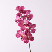 31 Inch Extra Long Vanda Orchid Stems 10 Pcs Real Touch Artificial Flowers Bulk