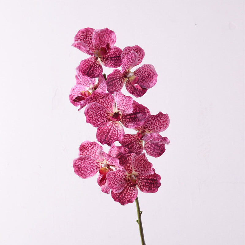 31 Inch Extra Long Vanda Orchid Stems 10 Pcs Real Touch Artificial Flowers Bulk