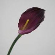 Real Touch Calla Lily Stem, Artificial Silk Flower, 12 Inch, Single Stem