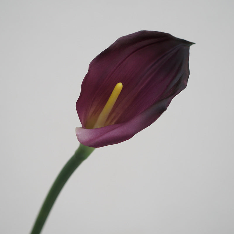 Real Touch Calla Lily Stem, Artificial Silk Flower, 12 Inch, Single Stem