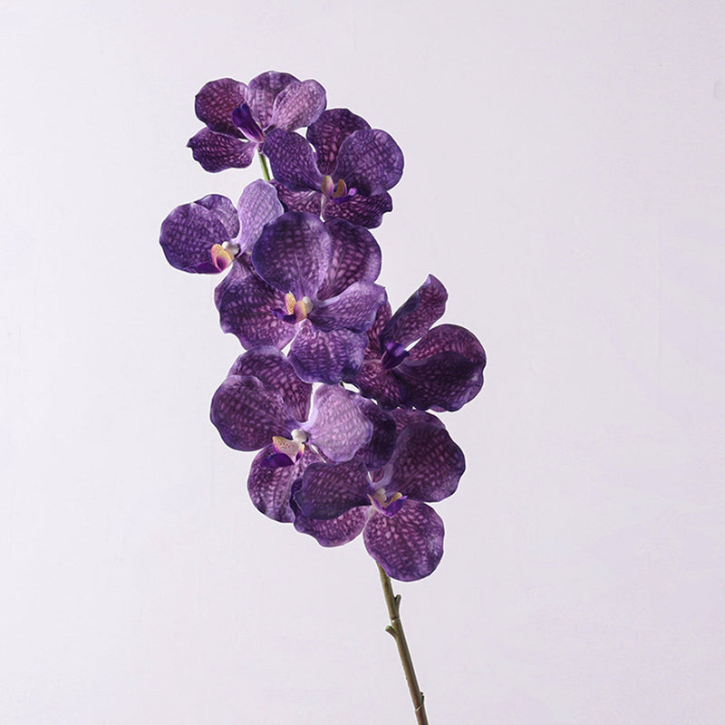 31 Inch Extra Long Vanda Orchid Stems 10 Pcs Real Touch Artificial Flowers Bulk