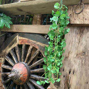 23 Inch Pennywort Garland 6 Ft Artificial Lucky Hydrocotyle Vulgare Hanging Greenery Plant