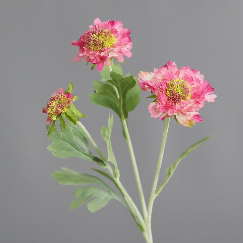 18 Inch Cephalaria Silk Flower Stems 10 Pcs Artificial Bulk for Wedding Home Decor