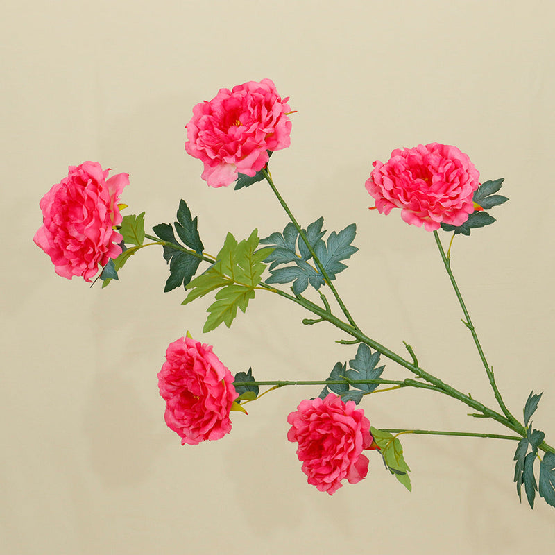 50 Inch Extra Tall Artificial Silk Peony Flowers, Large Faux Peonies, Bulk 10 Pcs for Wedding Home Decor Table Centerpieces