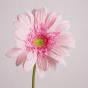25.5 Inch Gerbera Daisy Stems 6 Pcs Real Touch Silk Artificial Flowers for Wedding Home Decor