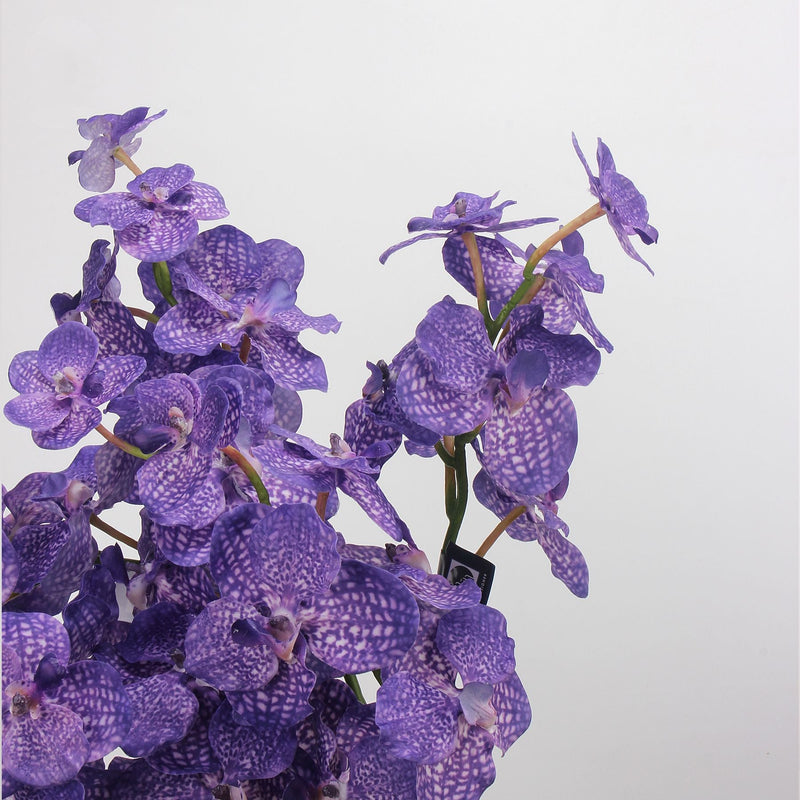 21.6 Inch Artificial Orchid Stems, Real Touch, 6 Pcs Bulk Spray Flowers