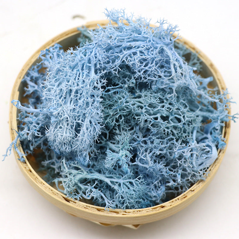 1.7 Ounce Preserved Moss for Crafts Vase Filler Table Centerpieces Fairy Garden Wedding Decor Bulk Quantity