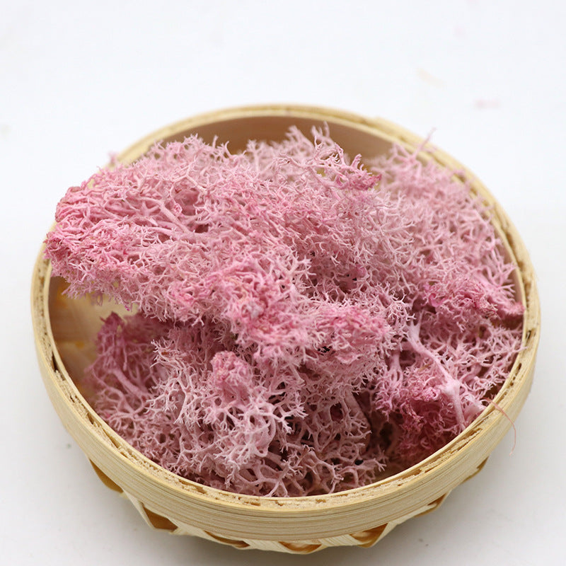 1.7 Ounce Preserved Moss for Crafts Vase Filler Table Centerpieces Fairy Garden Wedding Decor Bulk Quantity