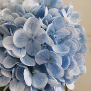Artificial Hydrangea Arrangement 12 Inch Real Touch Bulk 1 Vase with Clear Faux Water
