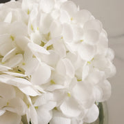 Artificial Hydrangea Arrangement 12 Inch Real Touch Bulk 1 Vase with Clear Faux Water