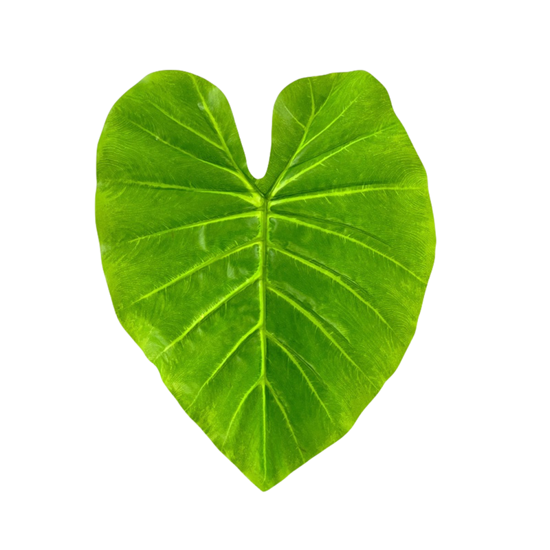 10 Pcs Artificial Elephant Leaf, Bulk Silk Leaves for Cake Decoration and Packaging